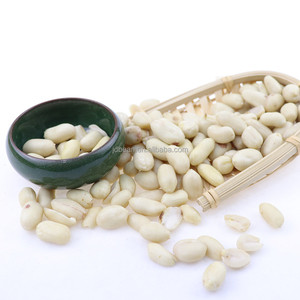 Vente de gros Chine Cacahuètes grillées séchées blanchies <span class=keywords><strong>non</strong></span> <span class=keywords><strong>salées</strong></span> - Product Image 4