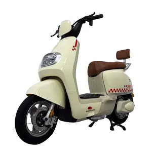 600W 800W 1000W nouveau modèle vélo électrique deux sièges Scooter vélo électrique vélo moto vélo électrique cyclomoteur électrique