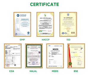 OEM ODM Premium nữ tính PH cân bằng Gummy Hawaii dứa thảo dược Probiotic vitamin bổ sung nội tiết tố cân bằng năng lượng bộ nhớ - Product Image 6