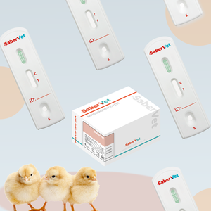 Vendita calda e facile da usare Virus dell'influenza aviaria H5 antigene Test rapido AIV H5 Ag Kit di test veloce per veterinario - Product Image 2