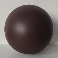 Ballon de Pilates mini antidérapant à surface givrée extra épaisse 300g pour la thérapie physique avec pompe
