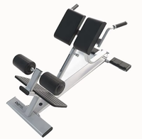 Équipement de fitness commercial en métal – Banc de musculation robuste et écologique pour l'entraînement du bas du dos