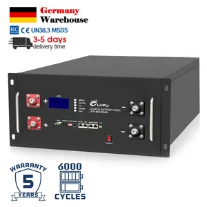 Lifepo4 Opslag Batterij 6000 Cyclus 5kwh Zonnebatterij 24V 100ah 48V 200ah Rack Gemonteerde Lithium-Ion Batterij Voor Zonnestelsel