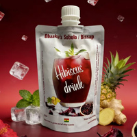 Pochette souple personnalisée avec bec verseur pour boissons froides, jus de plantes et autres boissons
