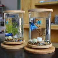 Mini aquarium écologique de bureau avec base rotative pour bouteille en verre, choix commercial pour commande en volume