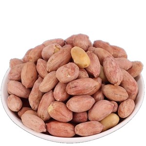 Arachides séchées de qualité supérieure Noyaux en vrac Grade d'exportation pour les importateurs mondiaux Non-OGM Directement de l'usine - Product Image 4