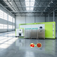 Professionele dehydrator voor cassave, mango, bananenchips en bloemen, garnalen, Chinese kruidenthee.