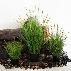 Plantes artificielles blanches réalistes en gros, verdure, mur <span class=keywords><strong>de</strong></span> fleurs, décoration intérieure, <span class=keywords><strong>herbe</strong></span> <span class=keywords><strong>de</strong></span> roseau artificielle <span class=keywords><strong>de</strong></span> Chine - Product Image 4