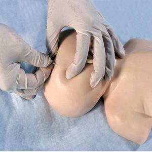 แบบจำลองการฝึกอบรมการเจาะเลือดหนังศีรษะทารกแรกเกิด,หัวฝึกอบรมการฉีดยาทางหลอดเลือดดำ - Product Image 2