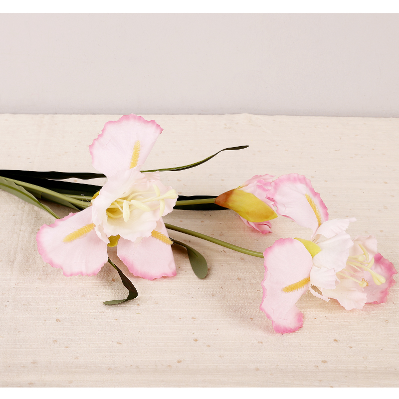 สีชมพูอ่อน