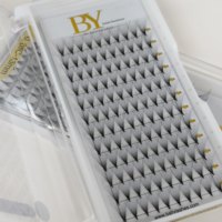 Extensions de cils pré-faits Promade Fans 6D-20D 0.03 0.05 0.07 à base fine et pointue, pour un volume rapide et intense, fournitures pour extensions de cils.