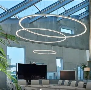 ECOJAS Nordic Decorative Circular Led Hanging Ring Light Aluminum Modern Gold Kitchen Dining Room Round Indoor Pendant Light