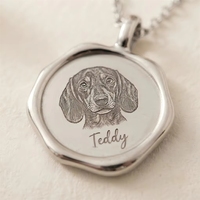 Collar con Retrato de Mascota Personalizado, Colgante con Foto de Perro Grabada con Láser, Sello de Cera, Acero Inoxidable, Resistente al Agua, Sin Deslustre, Regalo con Certificado CE