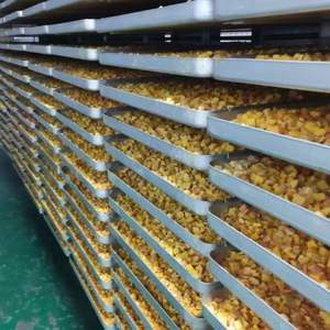 Pollo liofilizado para mascotas, yema de huevo fresca, aperitivos para gatos, pellets de pollo, pechuga de pollo de uso general para perros y gatos - Product Image 5