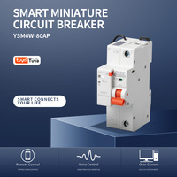 EAST YSM6W-80AP 1P/20A Système de commande à distance intelligent 20 ampères Wifi Mcb Circuit Interrupteur intelligent