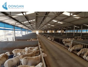 Construcción <span class=keywords><strong>de</strong></span> Naves Agrícolas Prefabricadas <span class=keywords><strong>de</strong></span> Acero a Bajo Costo para Ovejas, Ganado Vacuno, Cabras Lecheras, Aves <span class=keywords><strong>de</strong></span> Corral - Product Image 6