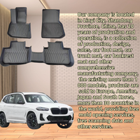 Convient pour 2018-2022 BMW X3 avec tapis de voiture de protection contre les intempéries