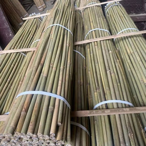 Estacas de Bambú Natural de Fabricación Vietnamita para Soporte de Plantas, Estacas para Viñedos y Cañas de Bambú para Jardín - Product Image 1