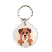 Etiqueta de perro con borde epoxi, logo personalizado y código QR, NFC, 13,56 MHz