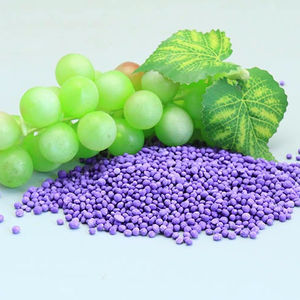 NPK מתחם דשן 12-22-22 + TE חקלאות דשן - Product Image 2