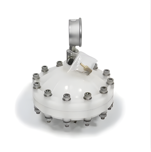 Amortisseur de pulsations de diaphragme en plastique pour pompe doseuse à impulsions, amortisseur d'impulsions d'air pour conduite d'eau - Product Image 2