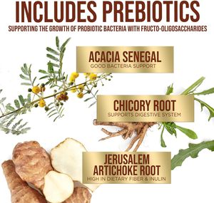 Cápsulas Probióticas Bien Diseñadas, Cápsulas de Lactobacillus para la Salud Digestiva, Cápsulas de Prebióticos y Probióticos para el Apoyo Inmunológico - Product Image 4