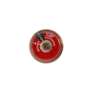 Extincteur en acier inoxydable et laiton avec manomètre, haute visibilité, catégorie de produit - Product Image 5