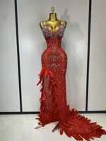 Robe longue maxi transparente pour femme, dos nu, ornée de strass scintillants et de plumes, sexy, pour soirée d'anniversaire, fête, ou costume de scène pour chanteuse