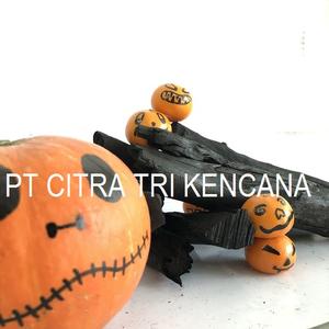 NEW YEAR 2020 CELEBRATION SALE HALABAN CHARCOAL BBQ GRILL 5-10 CM LONG, INDONESIA CHARCOAL Hamilton NEW ZEALAND - Product Image 4