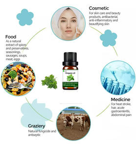 オレガノエッセンシャルオイルバルクフリーサンプルプライベートラベル純粋な天然有機食品グレード食用オレガノエッセンシャルオイル - Product Image 4