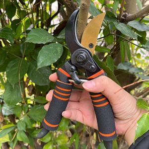 Tijeras de podar Pinheng de acero inoxidable de 20-30 mm para árboles frutales y jardinería - Product Image 1