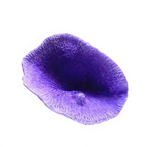 Kunstmatige koralen milieuvriendelijk plastic <span class=keywords><strong>aquarium</strong></span> koraalrif decoratie visbak accessoires landschapsontwerp woonkamer modern - Product Image 6