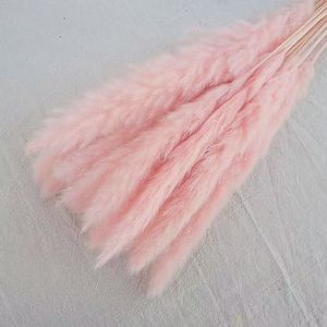 Offre Spéciale : 15 Pampas Naturelles Moelleuses de 60 cm pour Décoration de Mariage - Product Image 5