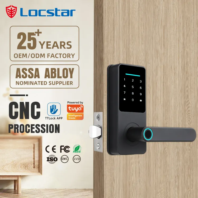 Locstar New Hardware Key Fingerprint Ble Ttlock Cylinder Factory Mortise Bedroom Wifi Sliding Door Smart Lock For Lock