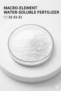 Fertilizante NPK 21-21-21 + TE 100% Soluble en Agua - Product Image 2