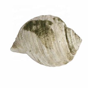Conchas de mar de resina <span class=keywords><strong>blanca</strong></span> Natural <span class=keywords><strong>grande</strong></span> Vieiras de <span class=keywords><strong>almeja</strong></span> naturales a granel modernas para decoración de pared para escultura de decoración del hogar - Product Image 6