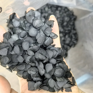 Nuovo Design Anna Petal: Coriandoli Neri per Feste, Materiale di Riempimento, Petali Veri Essiccati, Non Artificiali, Coriandoli per Matrimoni - Product Image 3