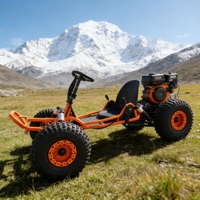 Vente en gros de buggy tout-terrain à siège unique de qualité supérieure, karting tout-terrain léger pour une seule personne, utilisation en course tout-terrain