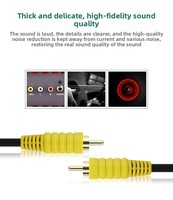 Câble vidéo rapide et stable à 8 canaux en PVC 4K pour l'Europe pour l'Allemagne et la Pologne Utilisation audio et vidéo CC Cline