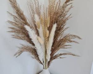 Autres cadeaux, <span class=keywords><strong>bouquet</strong></span> <span class=keywords><strong>de</strong></span> mariage, fleurs séchées, herbe <span class=keywords><strong>de</strong></span> la pampa en gros pour <span class=keywords><strong>mariée</strong></span>, décoration bohème naturelle, fourniture en vrac - Product Image 4