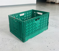 Groothandel Lichtgewicht Duurzame Opvouwbare Container Inklapbare Geperforeerde Plastic Stapelbare Recyclebare Groene Ecologische Fruitcontainer