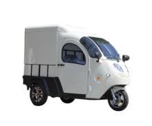 China new energy  Three-wheeled electric tricycle  electric passenger tricycle scooter with roof