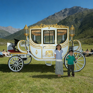 Calèche de luxe de haute qualité pour mariage, transport spécial, à vendre - Product Image 5