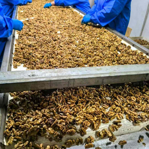 Chất lượng tốt nhất cao cấp toàn bộ quả óc chó 100% tự nhiên óc chó với vỏ ở mức giá tốt nhất chất dinh dưỡng phong phú tươi hữu cơ nguyên Hữu Cơ - Product Image 4