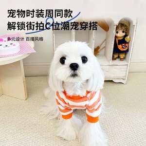 Nouvelles tenues d'hiver pour chien, pull en polaire arc-en-ciel pour chiot automne-hiver, pull chaud à deux pattes pour petit chien - Product Image 3