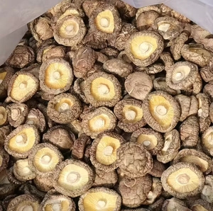 Nuevos Productos de Proveedores de Hongos Comestibles - Hongos Shiitake Secos al por Mayor Disponibles a Precios de Mercado Más Bajos. - Product Image 5