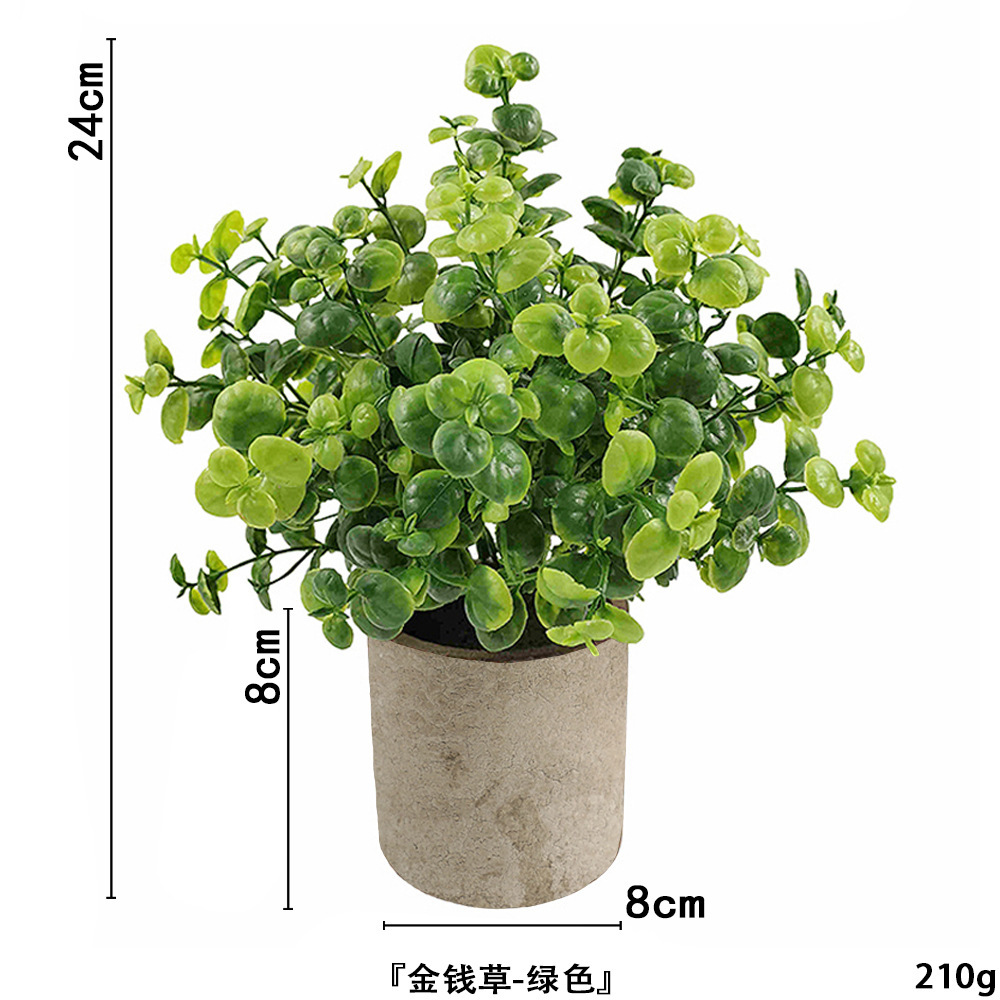 Herbe à monnaie sans poudre ahe370-069