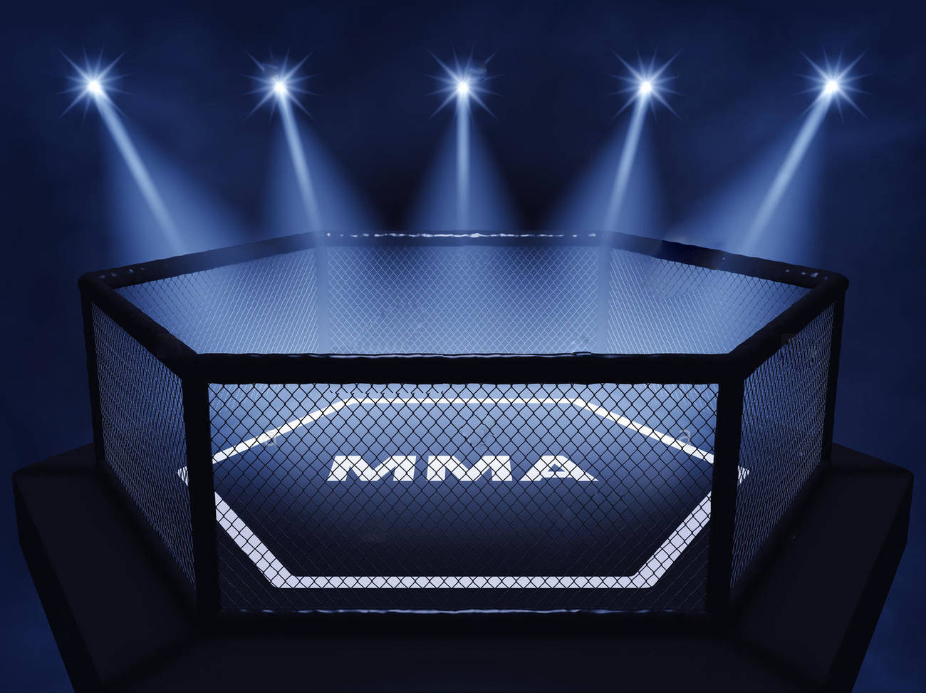 ボクシングリングチャンピオンシップ六角形mmaケージカバー