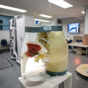 Modèle avancé de soins infirmiers en PVC pour l'entraînement par <span class=keywords><strong>injection</strong></span> <span class=keywords><strong>intramusculaire</strong></span> fessière <span class=keywords><strong>Injection</strong></span> musculaire efficace avec structure anatomique - Product Image 5