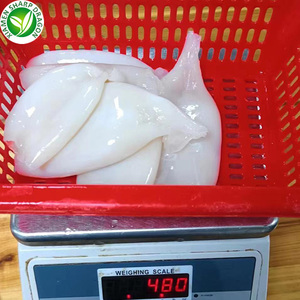 IQF đông lạnh gigas khổng lồ mực ống - Product Image 4
